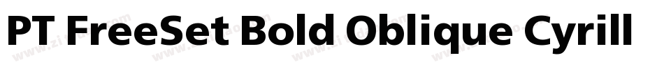 PT FreeSet Bold Oblique Cyrillic字体转换
